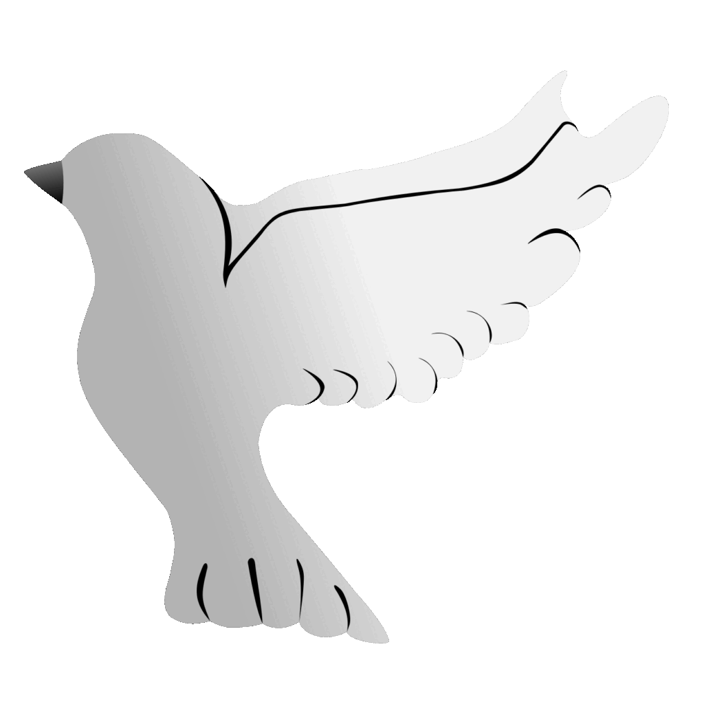 Andrew Brooks's "The Angel of Doves"